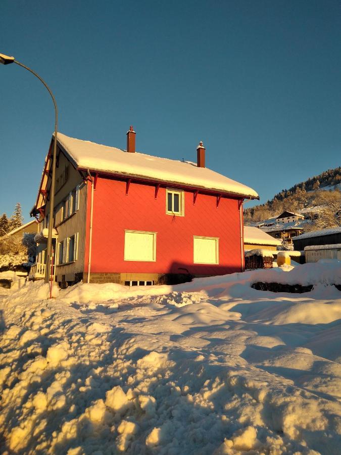 Cocon Lumineux Pres Des Pistes Lejlighed La Bresse Eksteriør billede